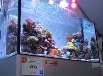 レイアウトコンテストで優勝しました 神戸アクアガーデン